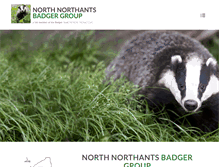 Tablet Screenshot of northnorthantsbadgers.co.uk